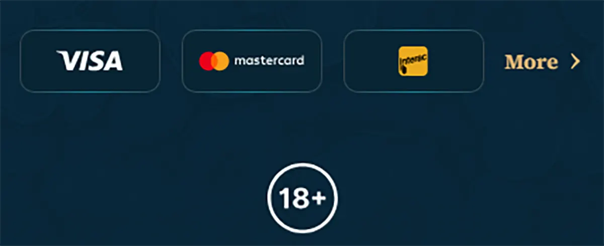 Payment methods footer with Visa, Mastercard, and Interac icons, a “More” link, and an 18+ badge on a dark blue background.