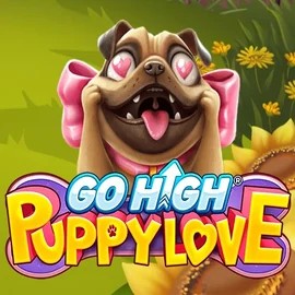 Play the Go High Puppy Love slot by RubyPlay on Betalice Casino